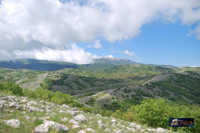 panoramica col monte cervati.JPG